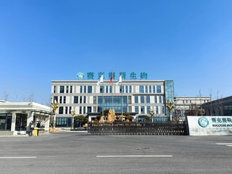Shandong Saikesaisi Hydrogen Energy Co., Ltd Produktionslinie des Herstellers