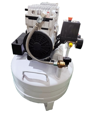kaufen QL-50 50LPM Laborluftgenerator mit gleichbleibendem Gasstrom Laborgasgenerator Online-Herstellung