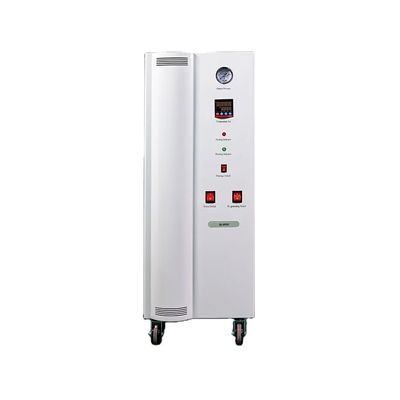 QL-N300A Stickstoffgenerationsmaschine für 50 kg Labor-Anwendungen